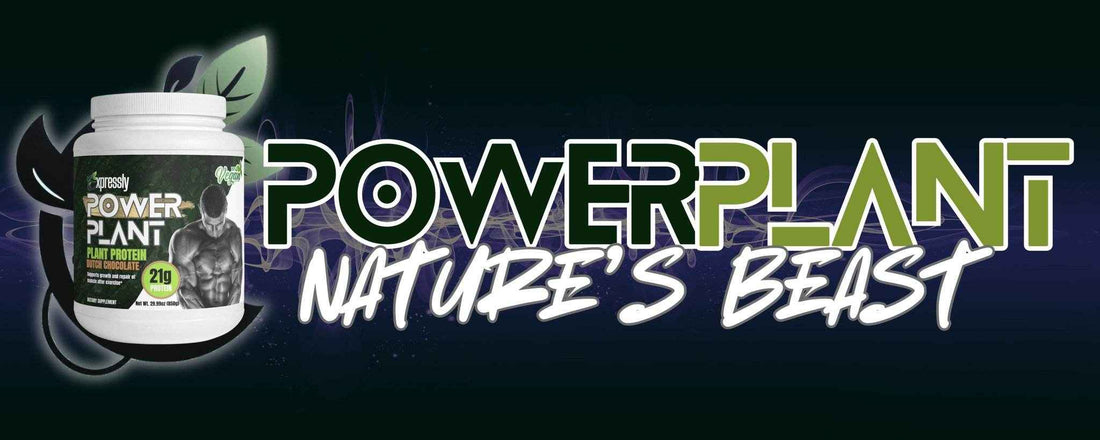 Power Plant - Plant Based Protein Powder - Expressly Marketplace