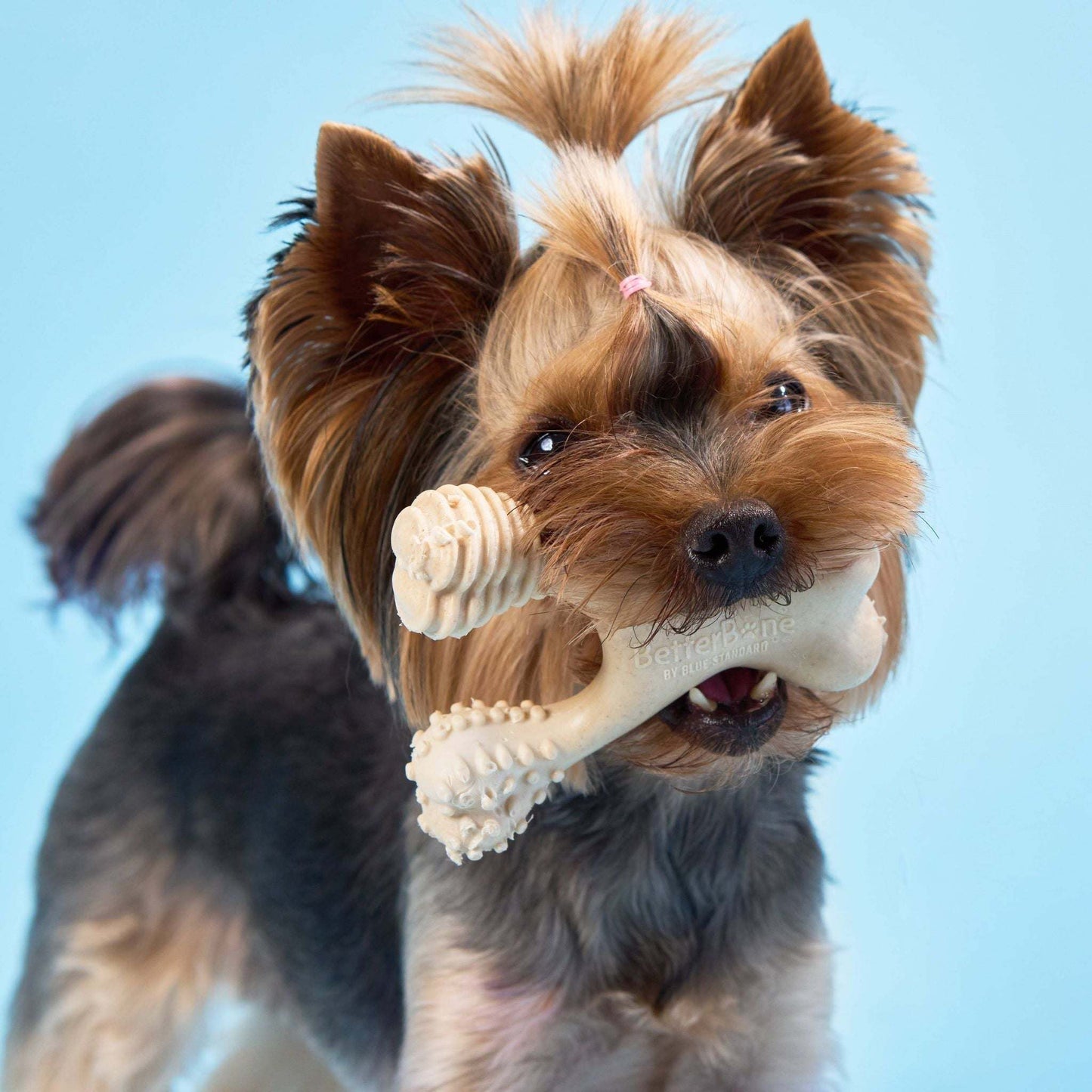 BetterBone Dog Chew - Expressly Marketplace