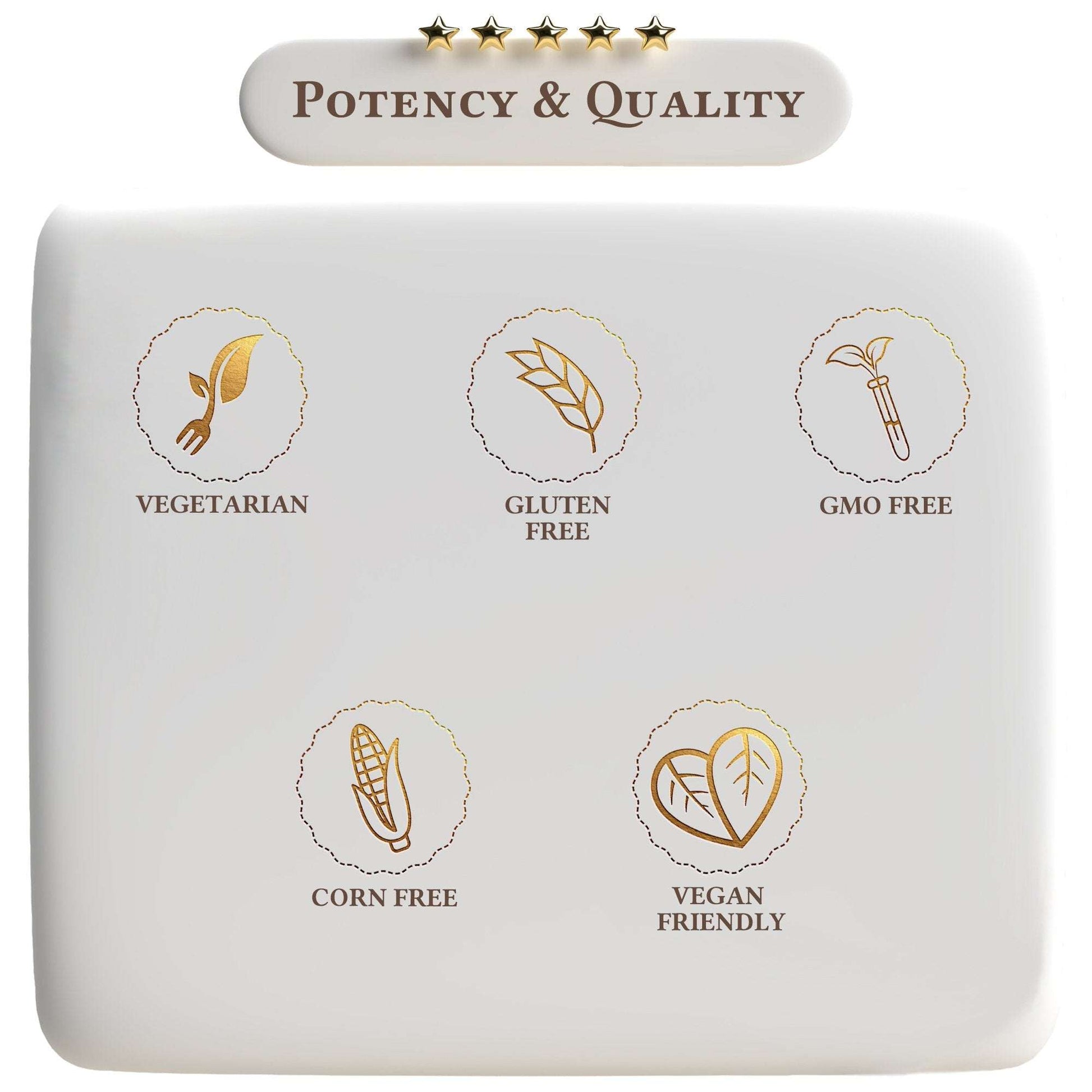 Apple Cider Vinegar Gummies - Expressly Marketplace