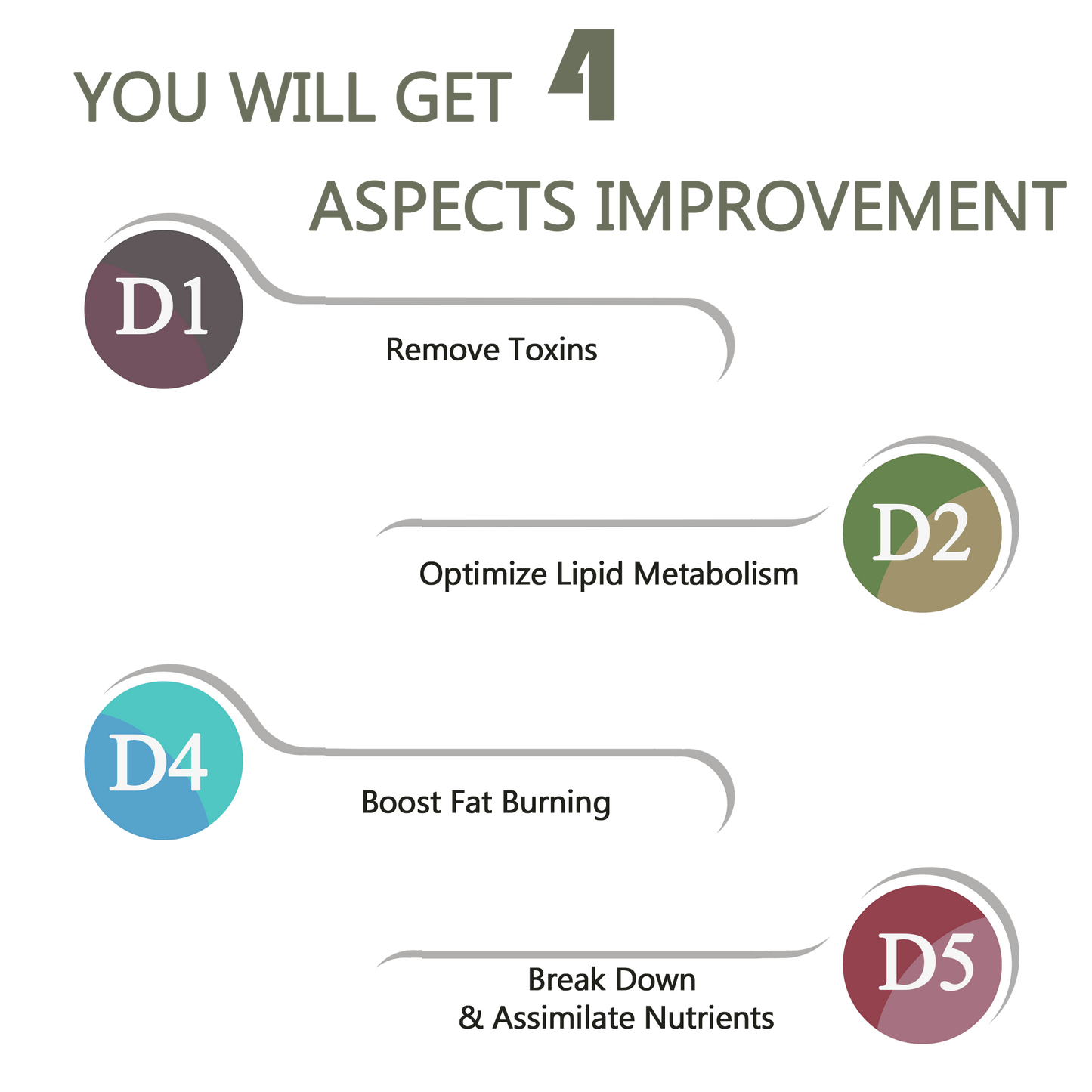 Digestive Conditioning Set - Expressly Marketplace