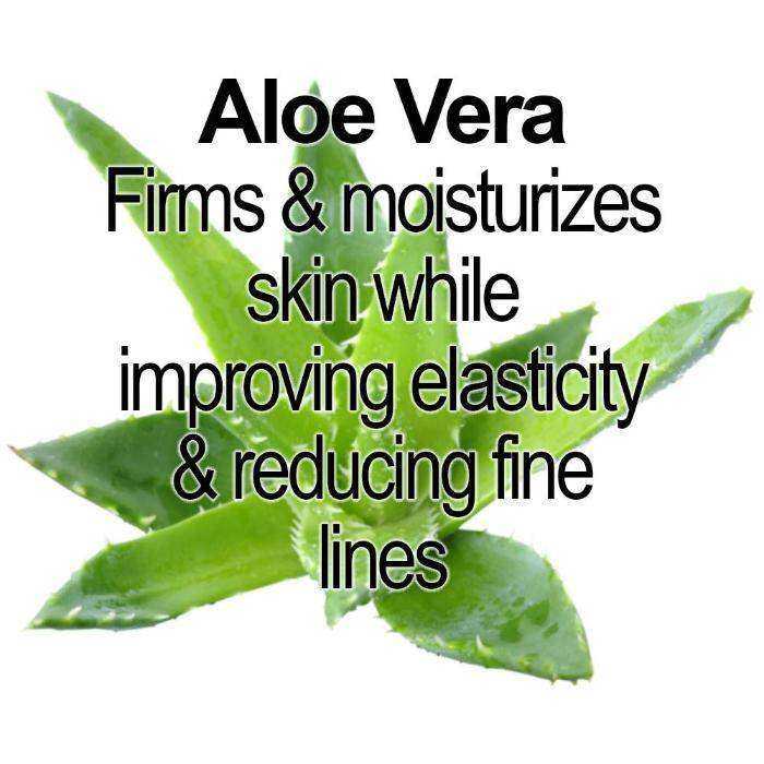 Organic Pumpkin Alpha Hydroxy Acid Face Mask - Expressly Marketplace