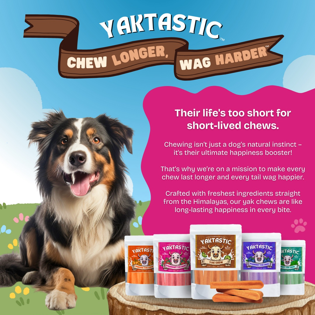 Strawberry Yak Chews