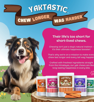 Strawberry Yak Chews - Expressly Marketplace