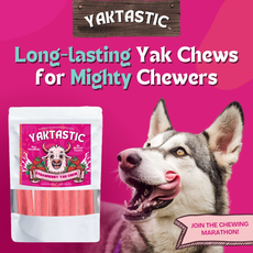 Strawberry Yak Chews