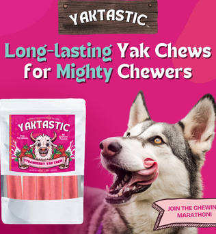 Strawberry Yak Chews - Expressly Marketplace