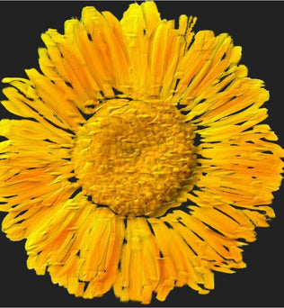 Certified Organic Rejuvenating Night cream calendula Hydrate Anti-aging Repair |Calendula flower