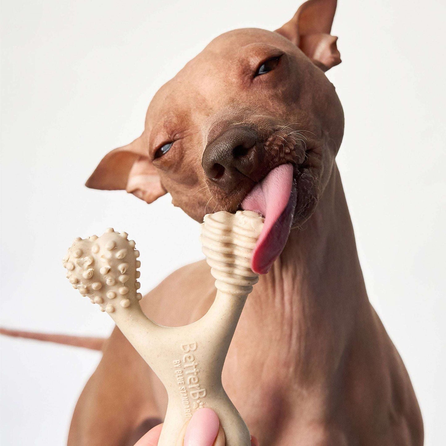 BetterBone Dog Chew - Expressly Marketplace