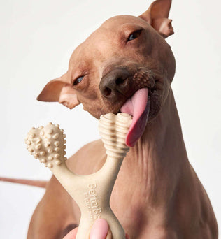 BetterBone Dog Chew - Expressly Marketplace