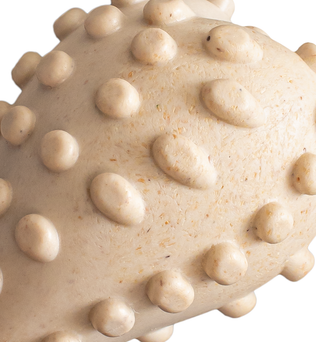 BetterBone Dog Chew - Expressly Marketplace