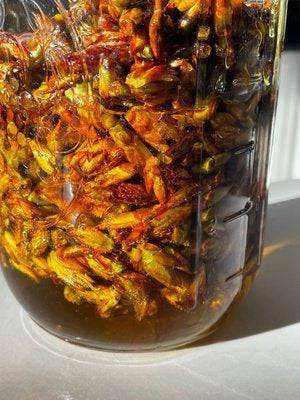 Anthea Skincare | Balsam Lip Balm - Expressly Marketplace