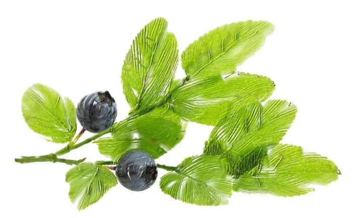 Natural Compressed facial mask  DIY Sheet mask