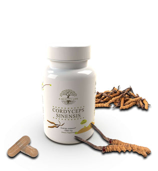 Cordyceps Mushroom - Expressly Marketplace