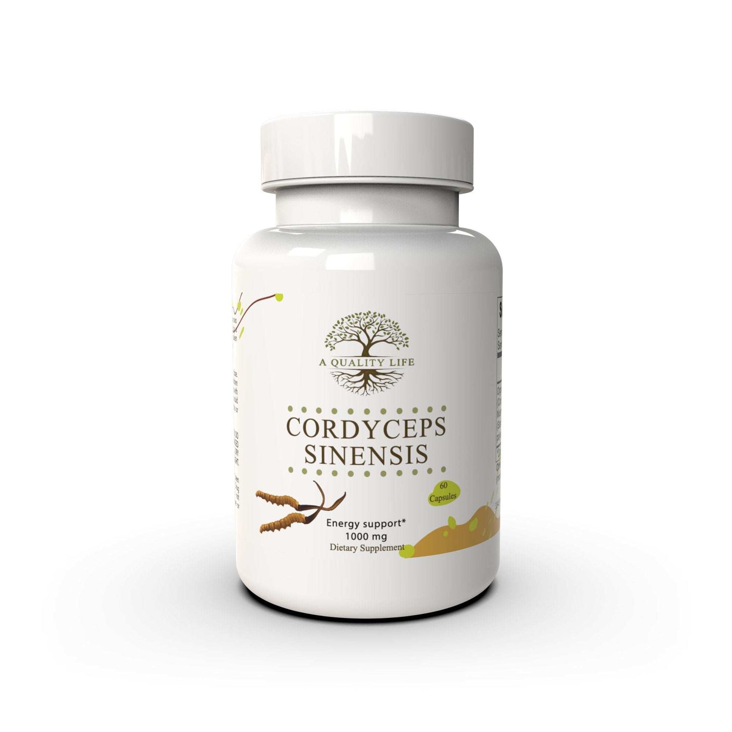 Cordyceps Mushroom - Expressly Marketplace