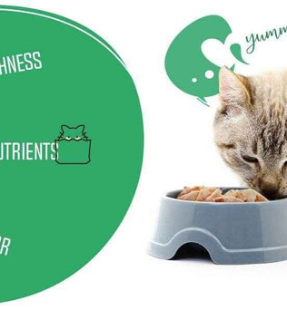 Freeze Dried Cat Treats Chicken (1.75oz-3.5oz) - Expressly Marketplace
