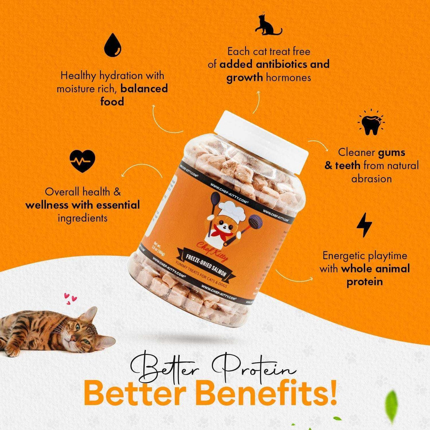 Freeze Dried Cat Treats Salmon (1.75oz-3.5oz) - Expressly Marketplace