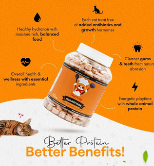 Freeze Dried Cat Treats Salmon (1.75oz-3.5oz) - Expressly Marketplace