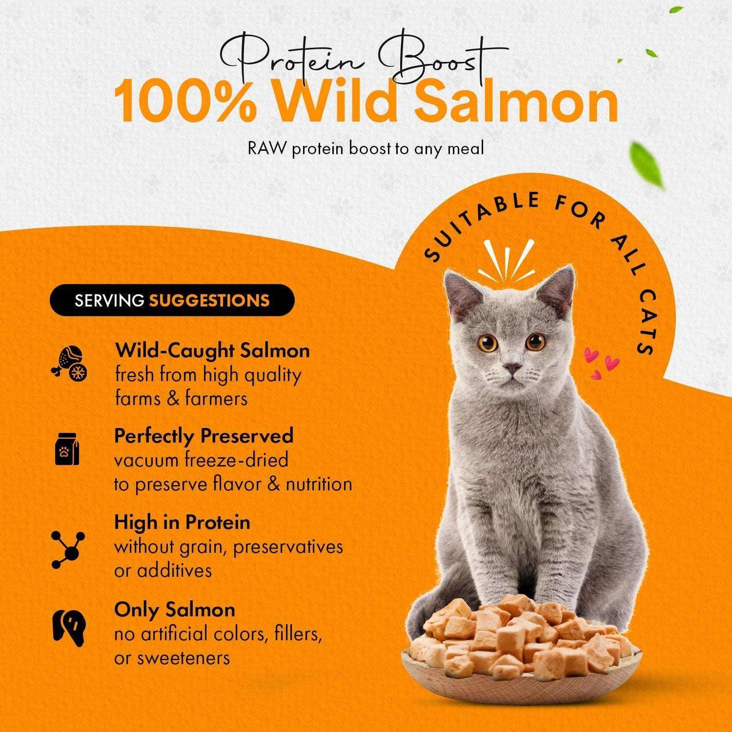 Freeze Dried Cat Treats Salmon (1.75oz-3.5oz) - Expressly Marketplace