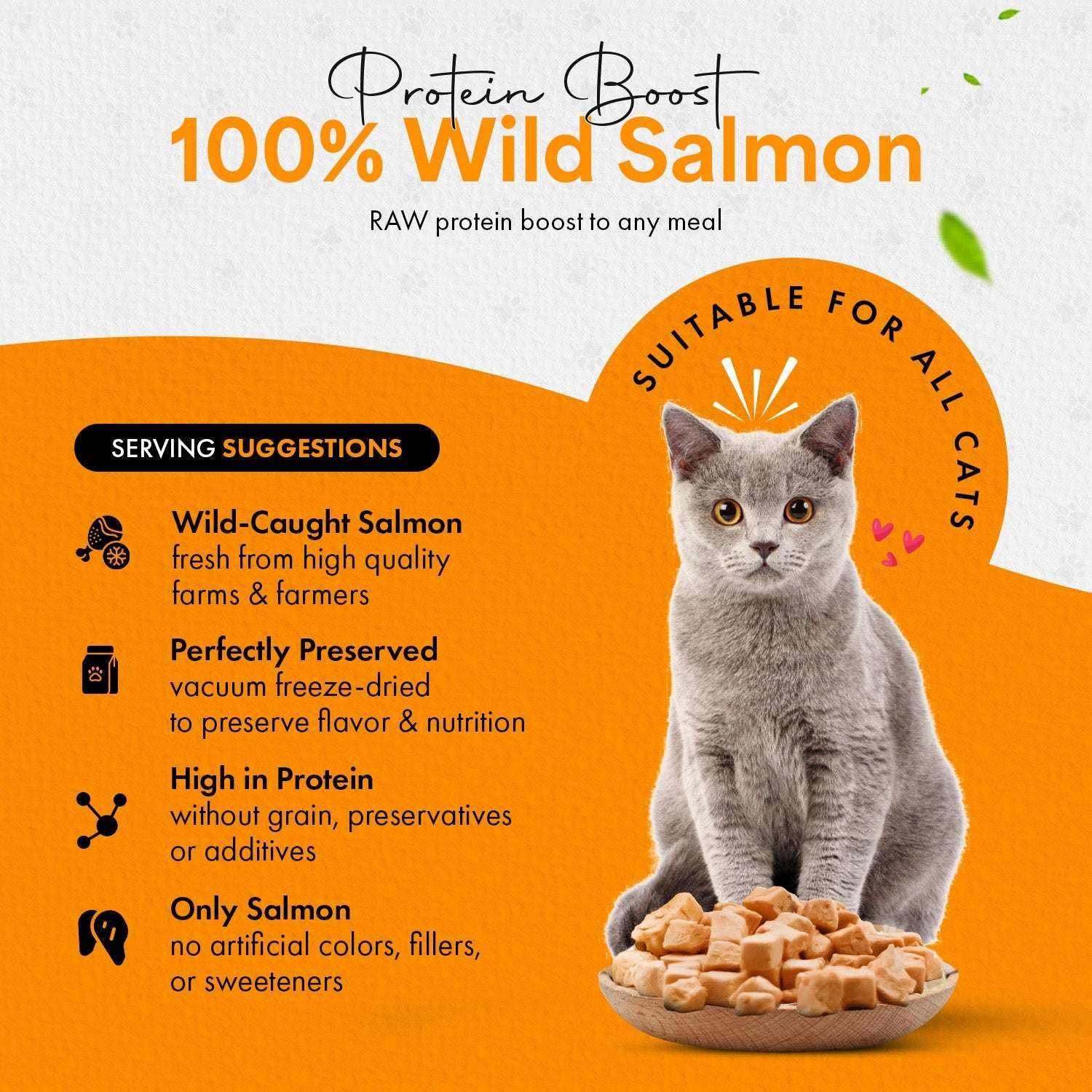 Freeze Dried Cat Treats Salmon (1.75oz - 3.5oz) - Expressly