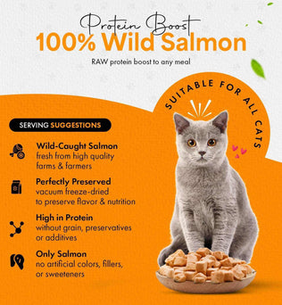Freeze Dried Cat Treats Salmon (1.75oz-3.5oz) - Expressly Marketplace