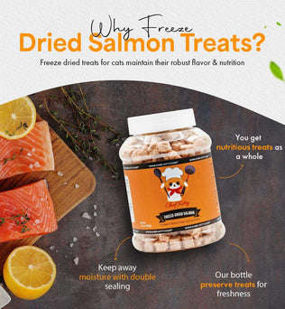 Freeze Dried Cat Treats Salmon (1.75oz-3.5oz) - Expressly Marketplace