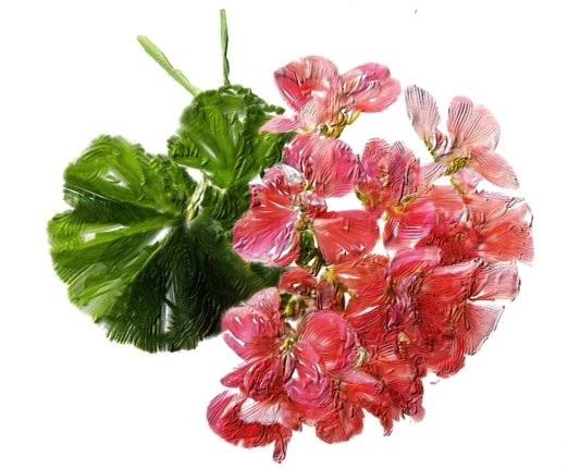 Certified Organic Facial Cleansing Gel with Geranium Oil for all skin types | sensitive skin double cleansing methods
