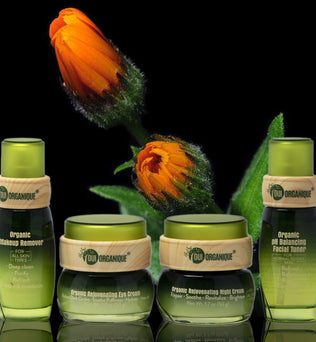 Certified Organic, Nighttime Repair Value-Pack Skincare Set