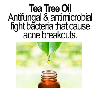 Organic Clear Skin Acne Serum - Oil Regulation Serum - Expressly Marketplace