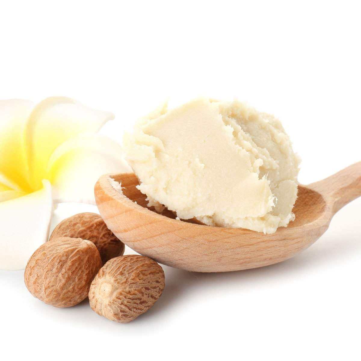 Organic Whipped Shea Body Butter - 2 oz Travel Size - Expressly Marketplace