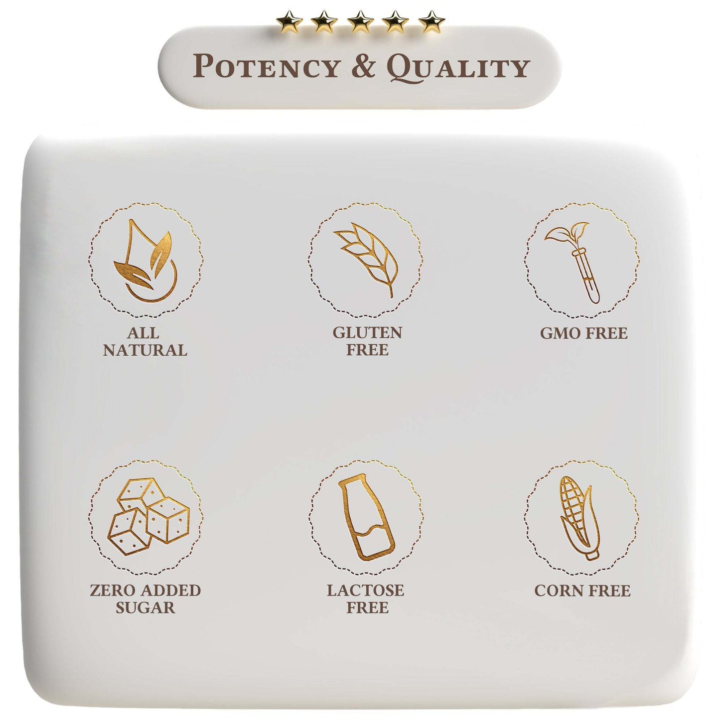 Platinum Turmeric - Expressly Marketplace
