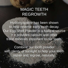 Shwally Magical Hydroxyapatite Cattle Bone & Egg Shell Tooth Powder - Expressly